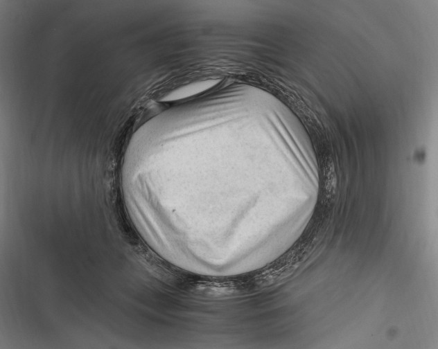 X0000116640559201001111210