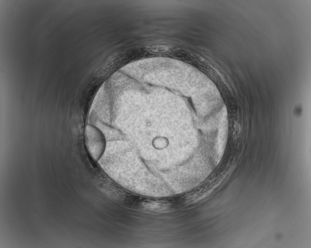 X0000116640561201001111210