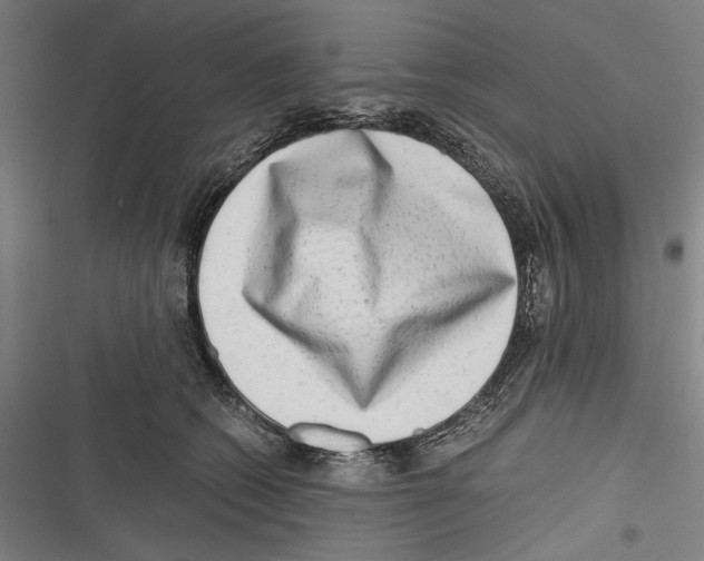 X0000116640562201001111210