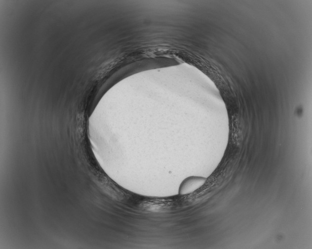 X0000116640563201001111210