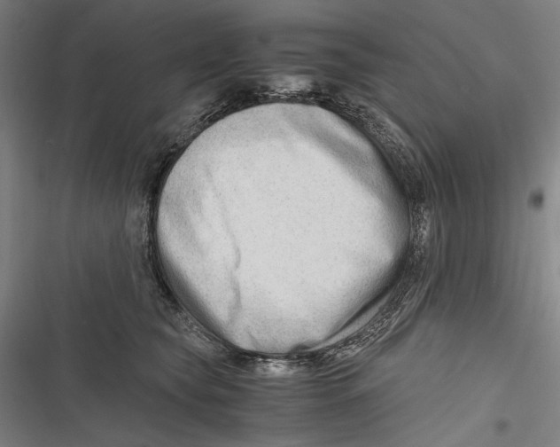 X0000116640565201001111210