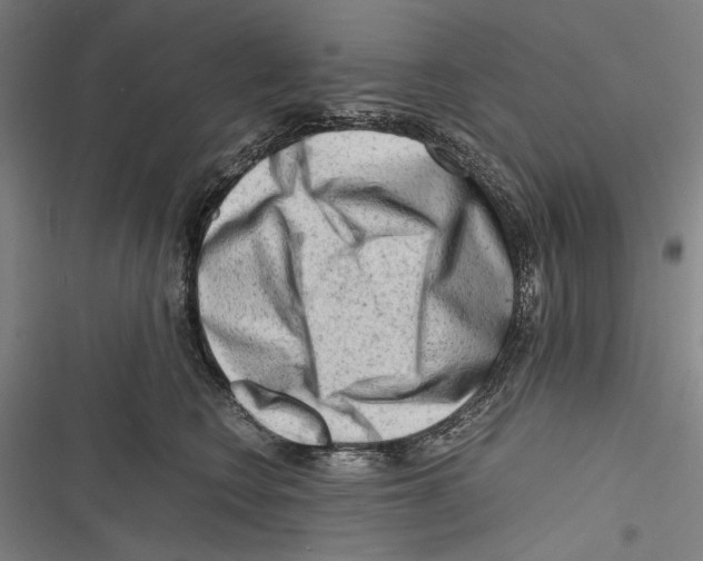 X0000116640566201001111210