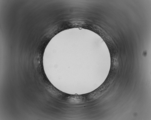 X0000116640567201001111210