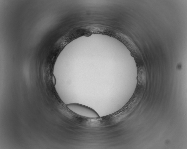 X0000116640573201001111210