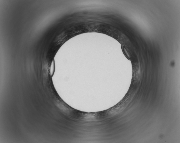 X0000116640574201001111210