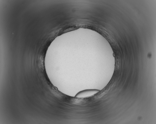 X0000116640575201001111210