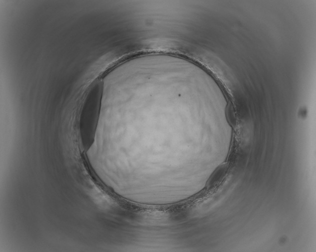 X0000116640577201001111210