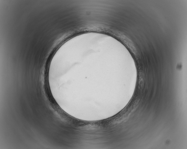 X0000116640578201001111210