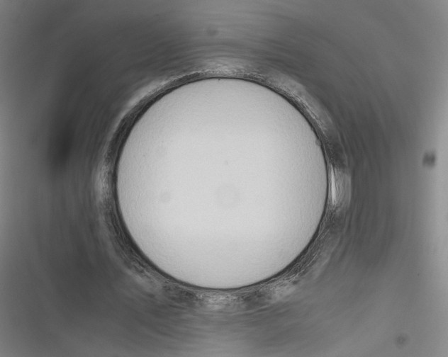 X0000116640579201001111210