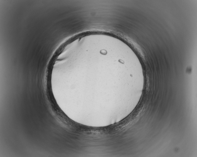 X0000116640580201001111210