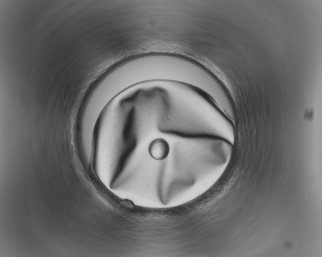 X0000116640581201001111210