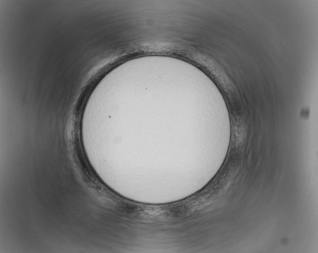 X0000116640583201001111210