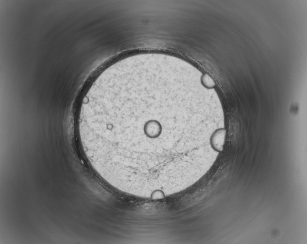 X0000116640584201001111210