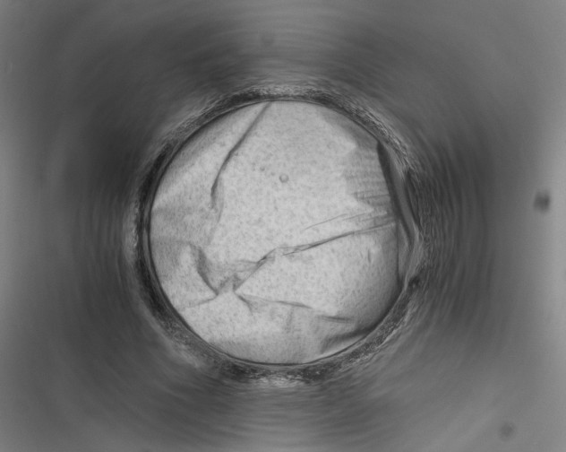 X0000116640586201001111210