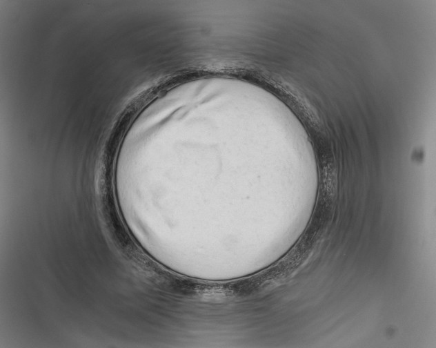 X0000116640587201001111210