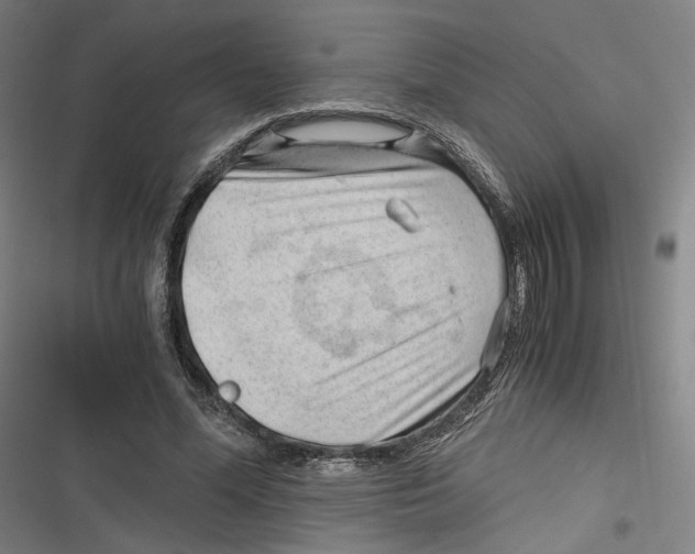 X0000116640588201001111210