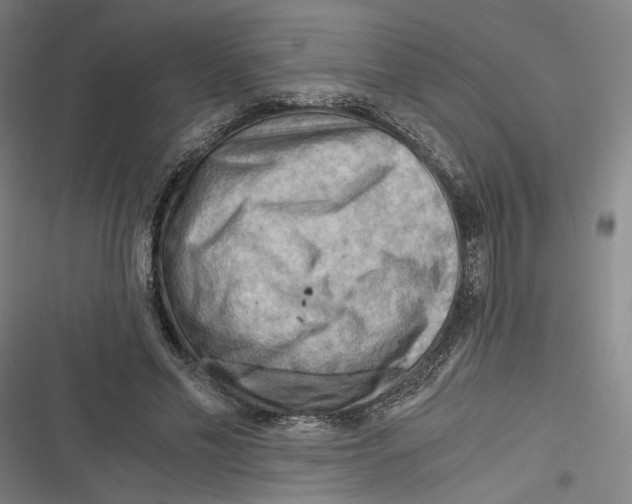 X0000116640589201001111210