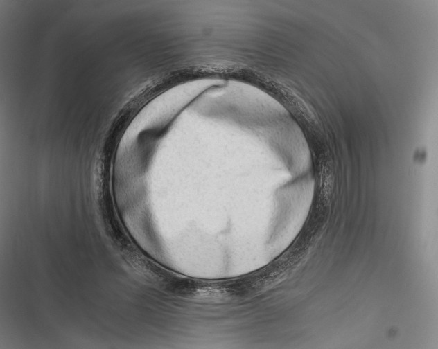 X0000116640591201001111210