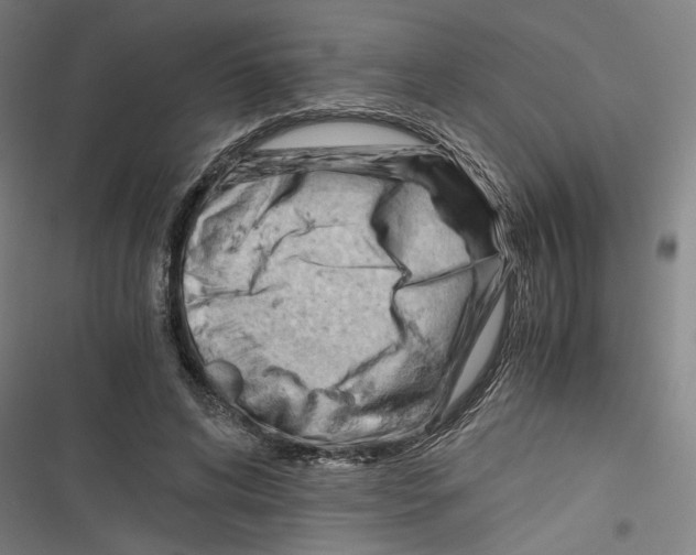 X0000116640592201001111210