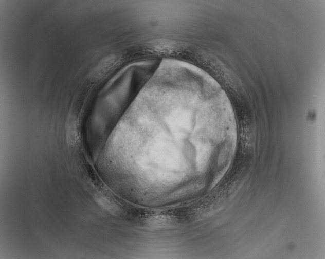 X0000116640593201001111210