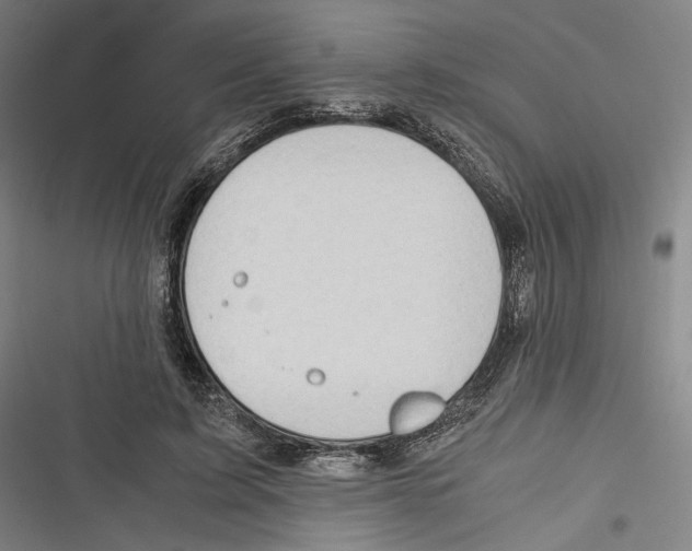 X0000116640595201001111210