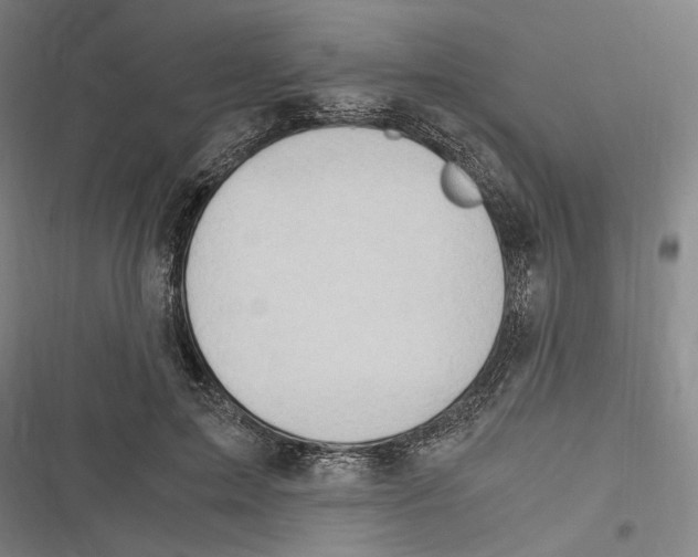 X0000116640599201001111210