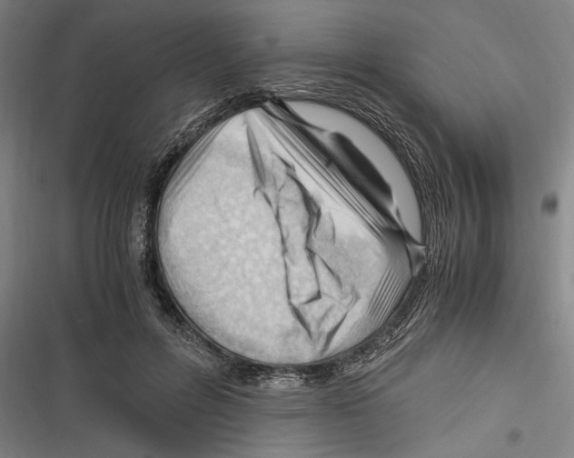 X0000116640600201001111210