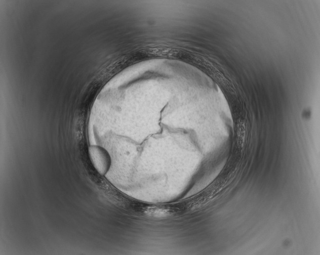 X0000116640602201001111209