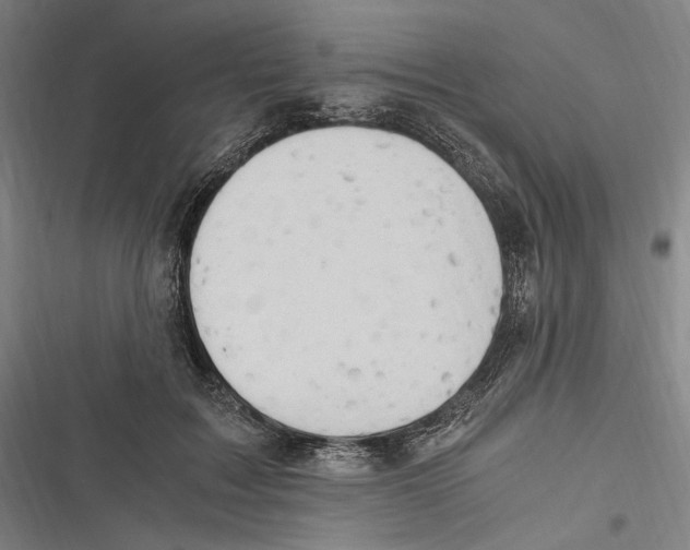 X0000116640603201001111209