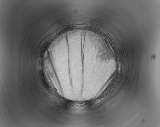 X0000116640606201001111209