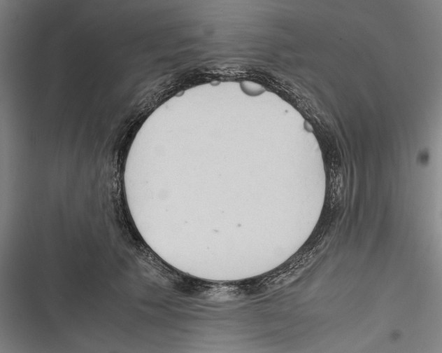 X0000116640609201001111209