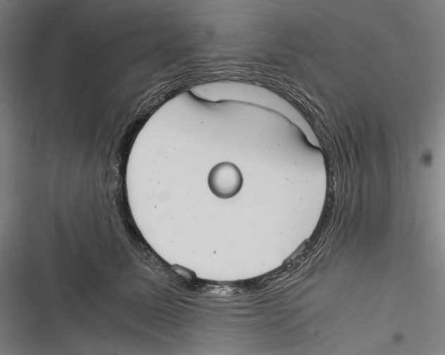 X0000116640611201001111209