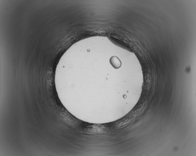 X0000116640612201001111209