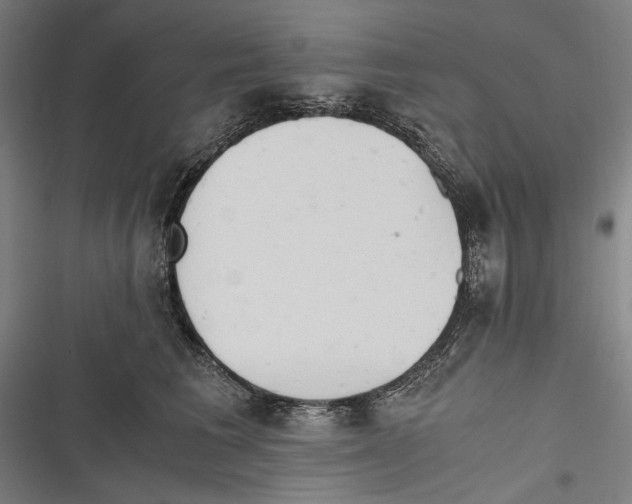 X0000116640613201001111209