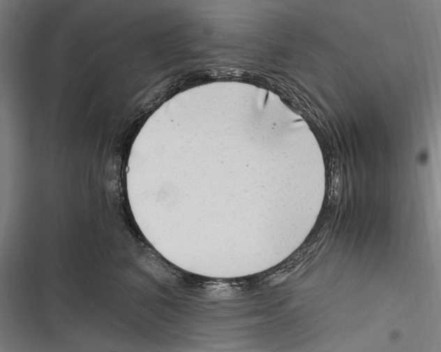 X0000116640616201001111209