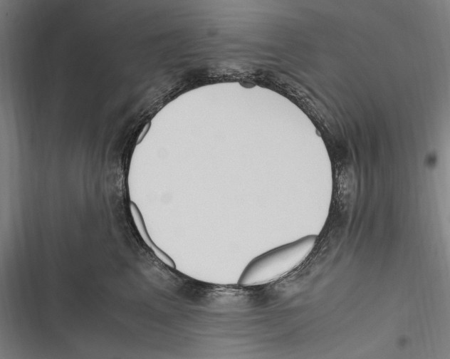 X0000116640617201001111209