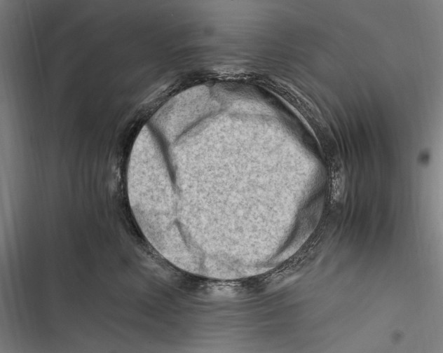 X0000116640618201001111209