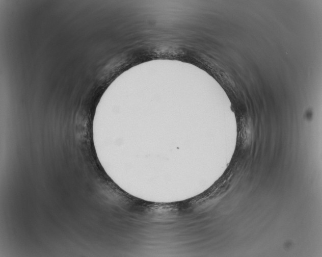 X0000116640619201001111209