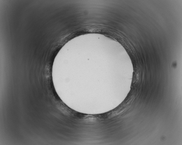 X0000116640620201001111209