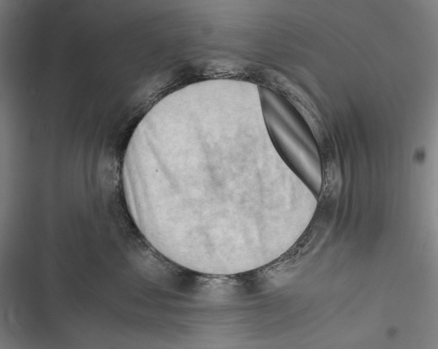 X0000116640621201001111209