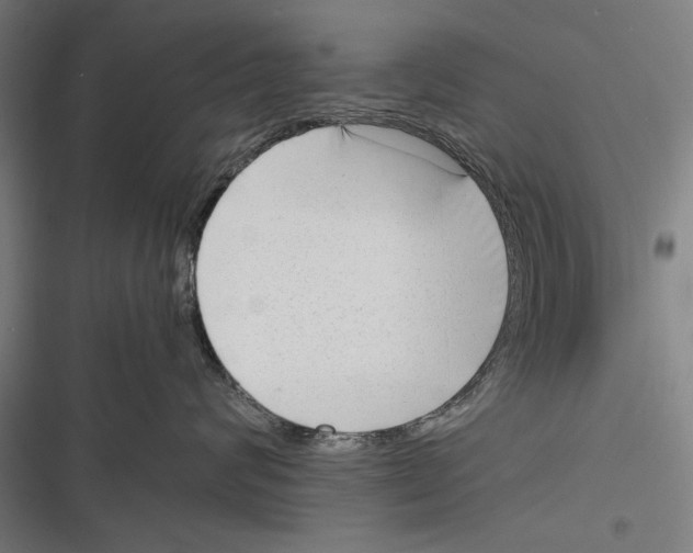 X0000116640624201001111209