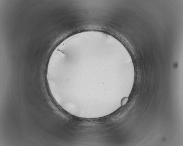 X0000116640625201001111209