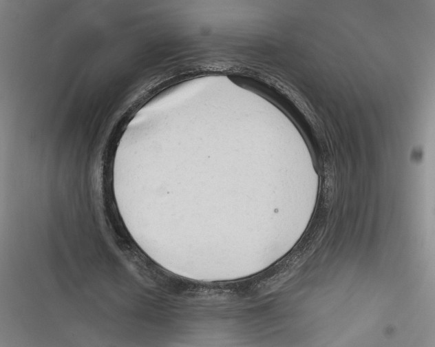 X0000116640626201001111209