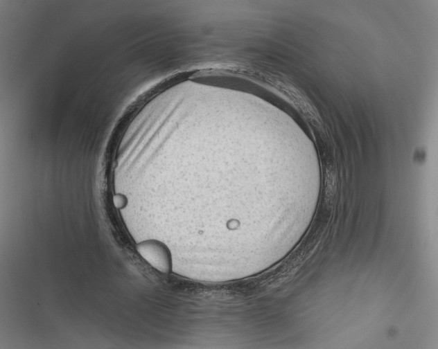 X0000116640628201001111209