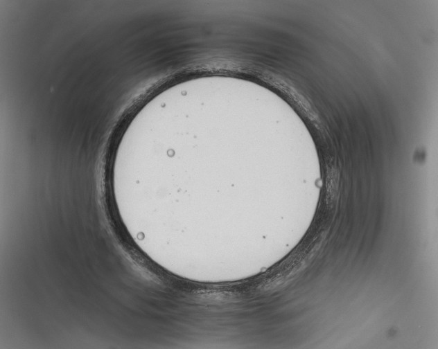 X0000116640629201001111209