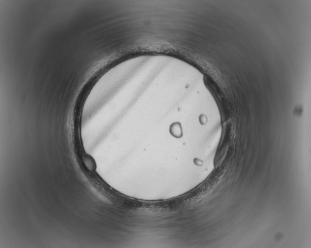 X0000116640630201001111209