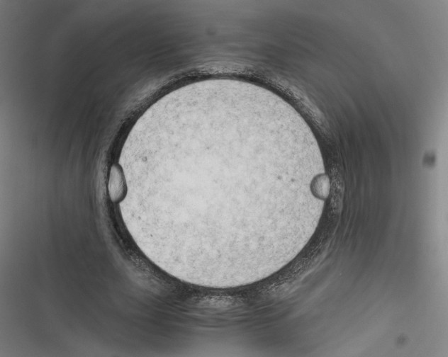 X0000116640631201001111209