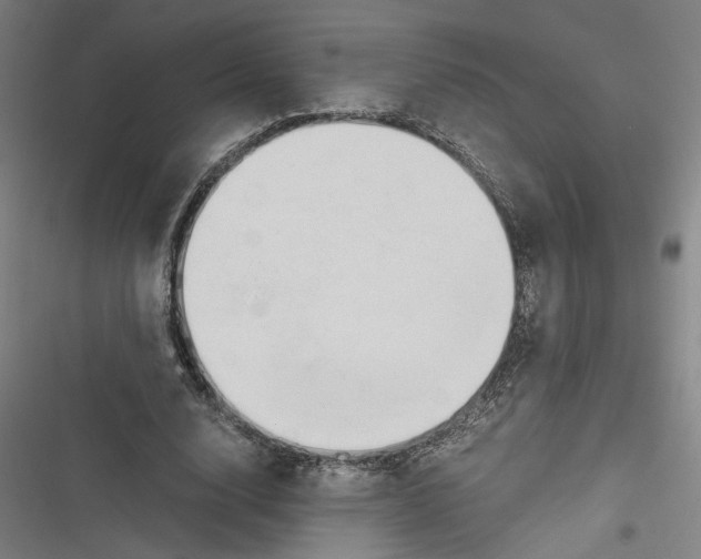 X0000116640632201001111209