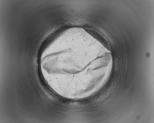 X0000116640634201001111209