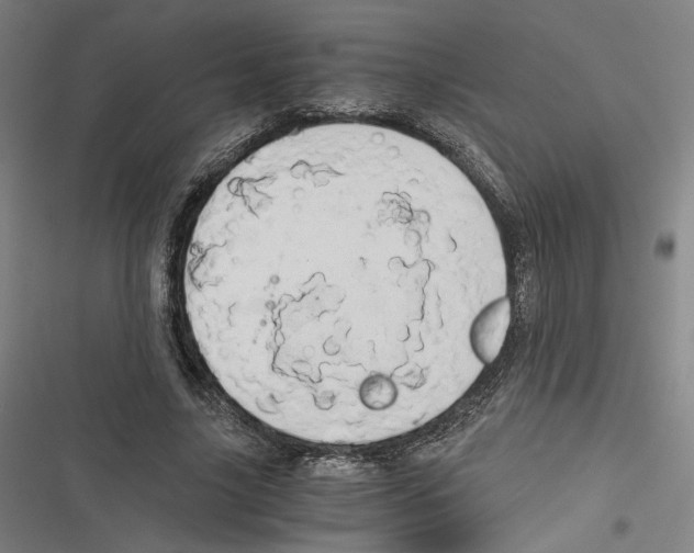 X0000116640635201001111209